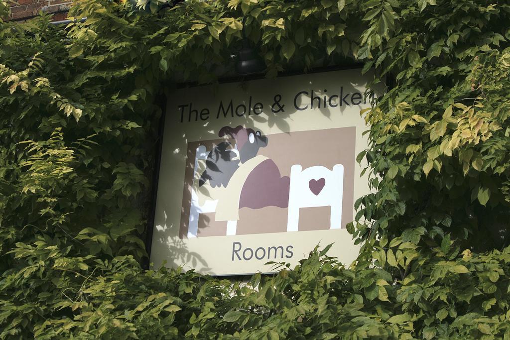 The Mole And Chicken Hotel Long Crendon Bilik gambar
